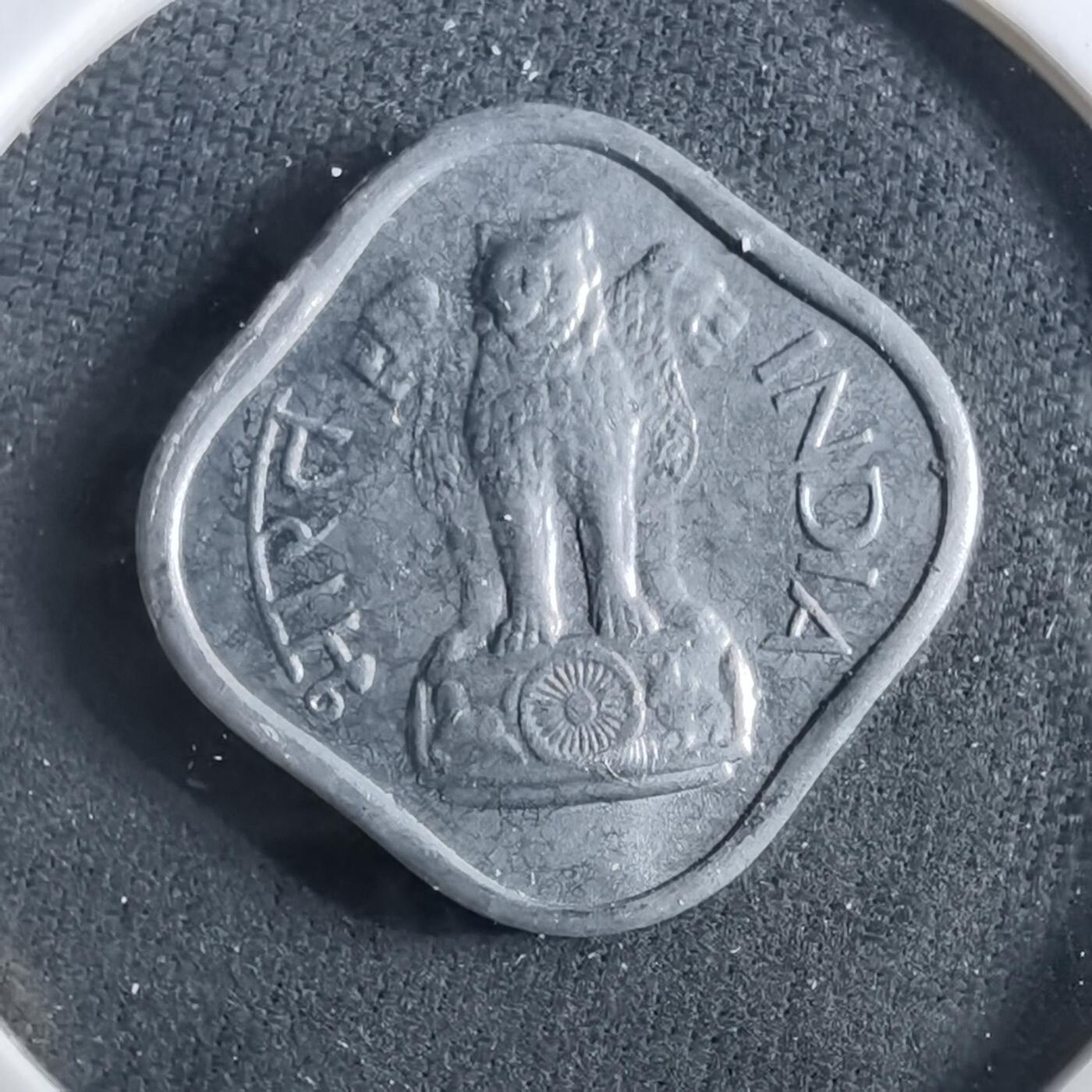 沼泽如烟--第960场