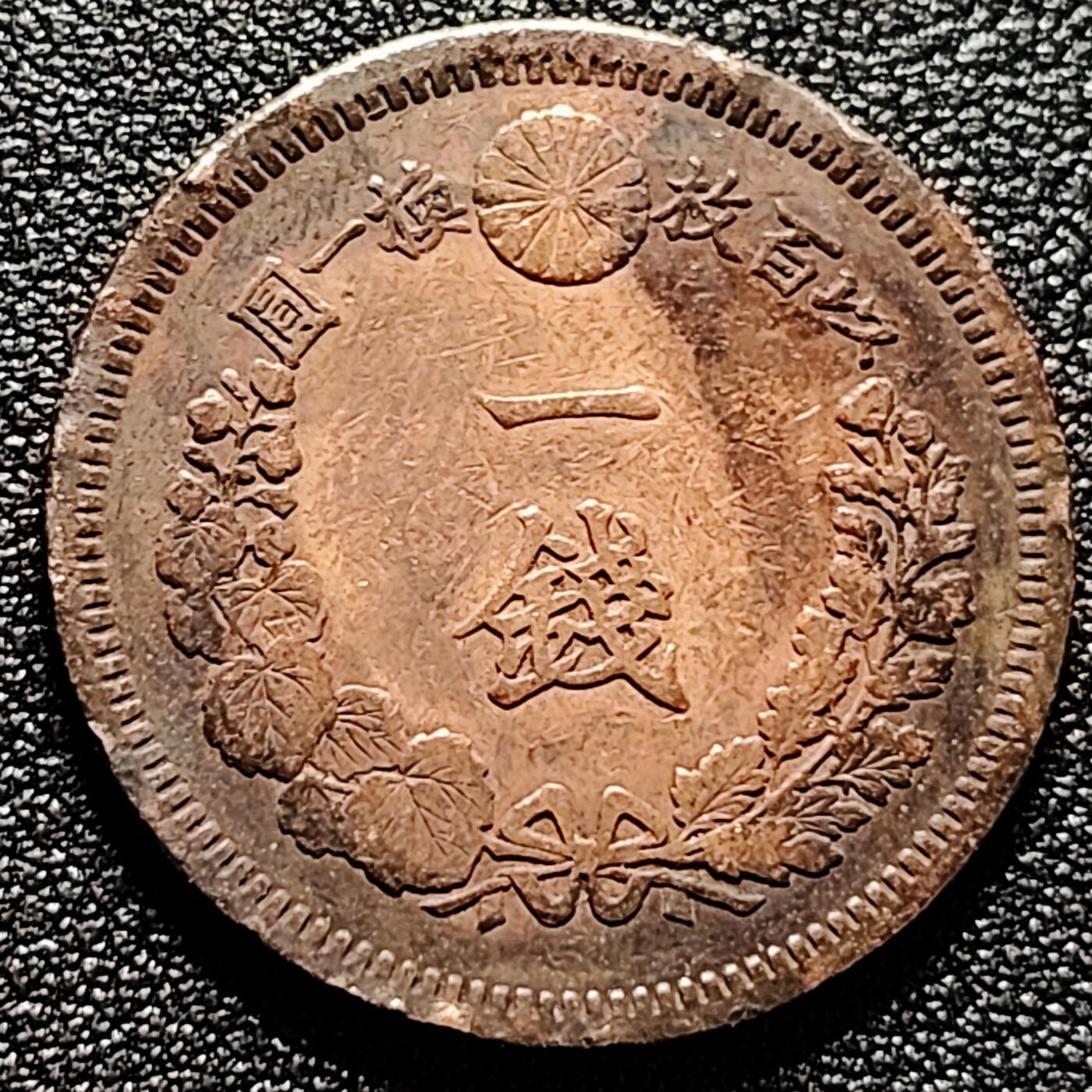 泉币菌-第169场- 精品福利场