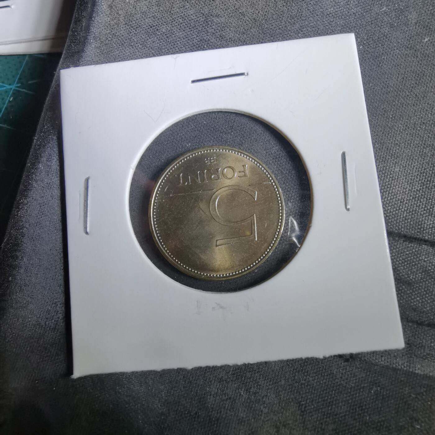 沼泽如烟--第960场