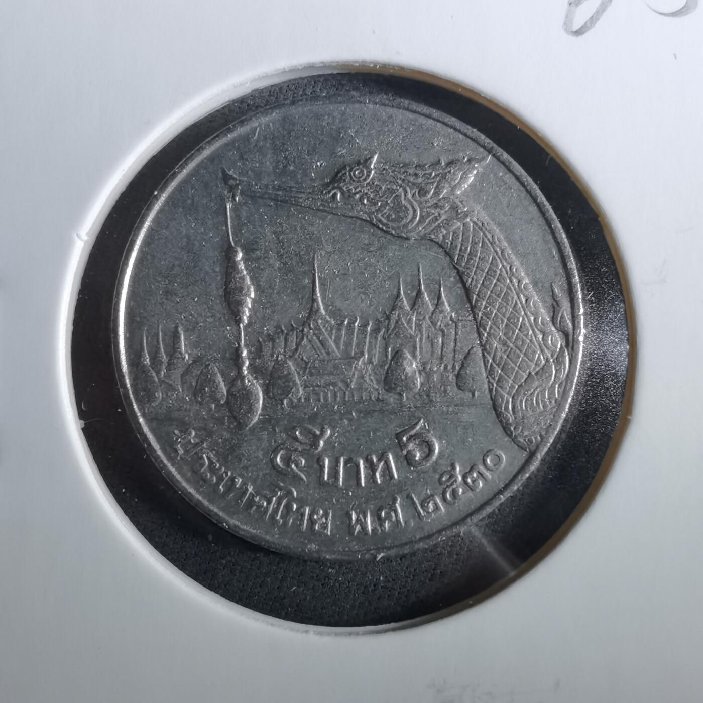 沼泽如烟--第960场