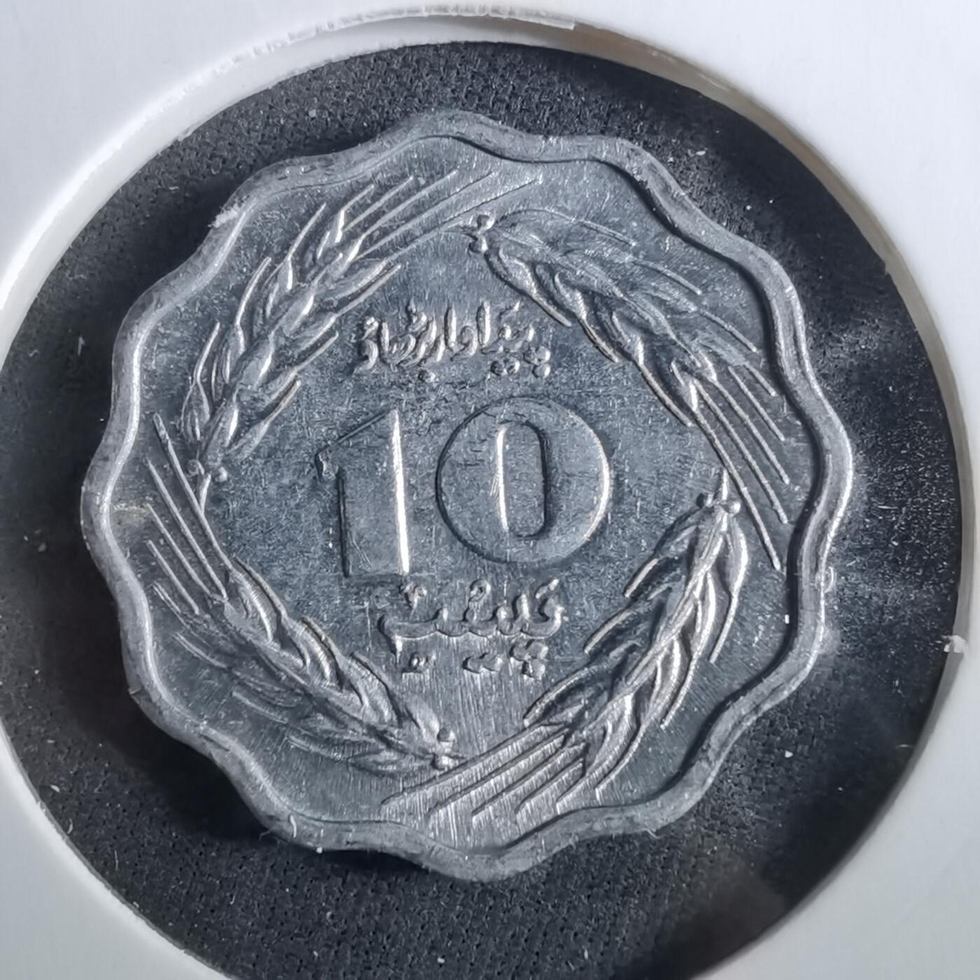 沼泽如烟--第960场