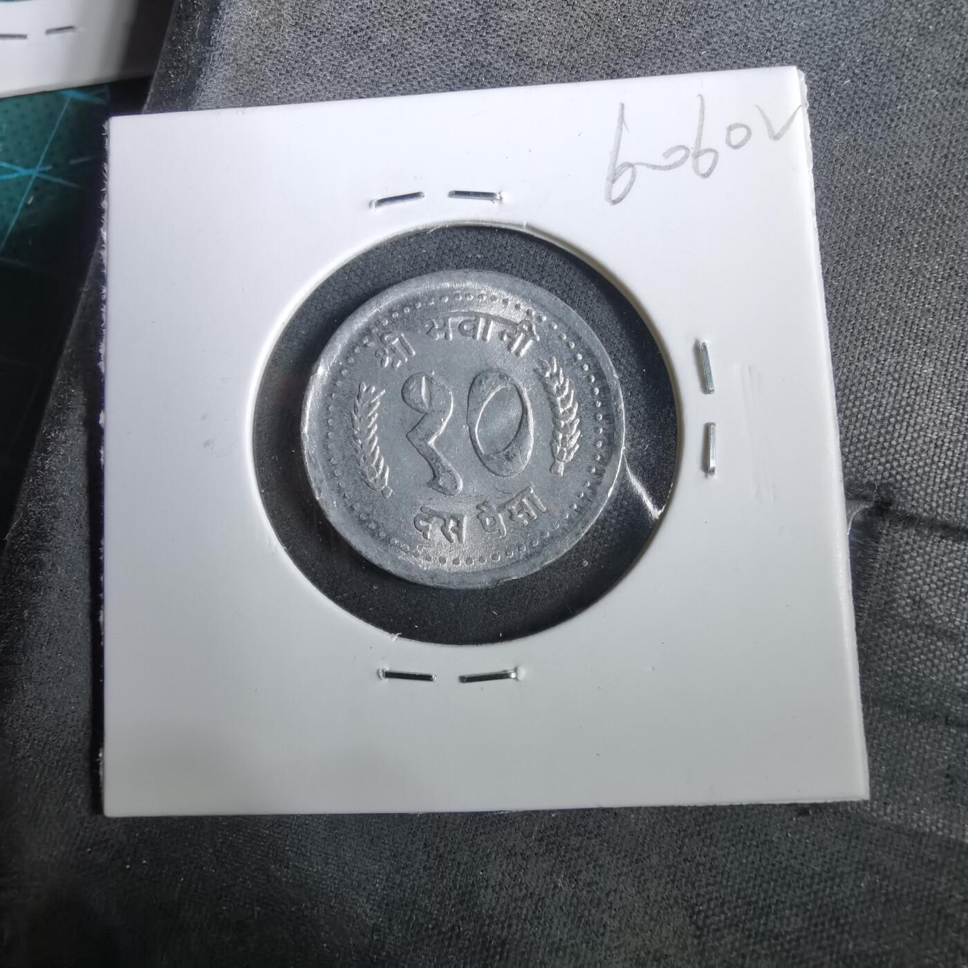 沼泽如烟--第960场