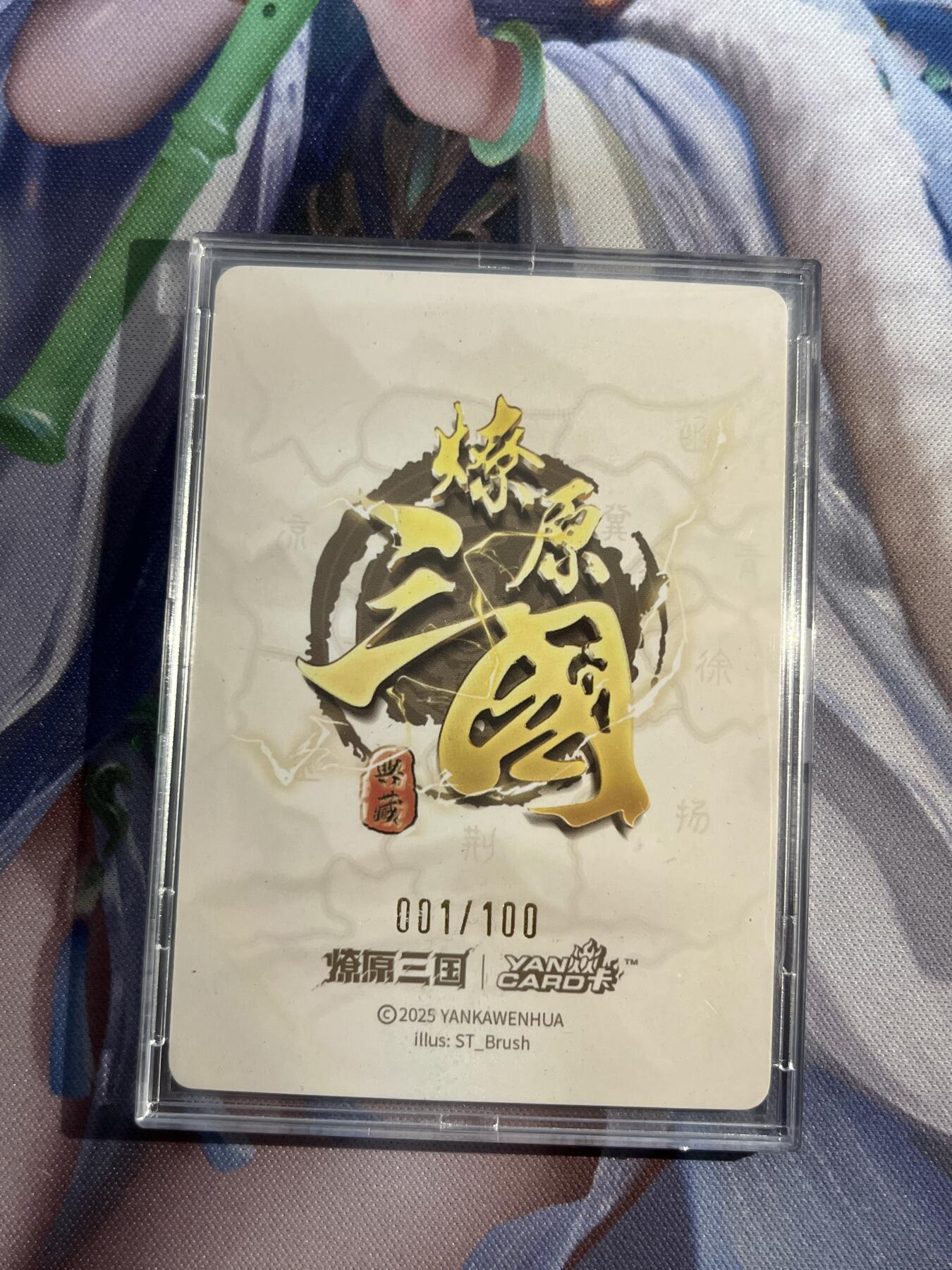 欢迎送拍、零成本上架，释放现金流，合理分配上拍卡品 【普卡1/100】st刷子 大乔（原画）焱卡文化&燎原三国 龙骧虎跃