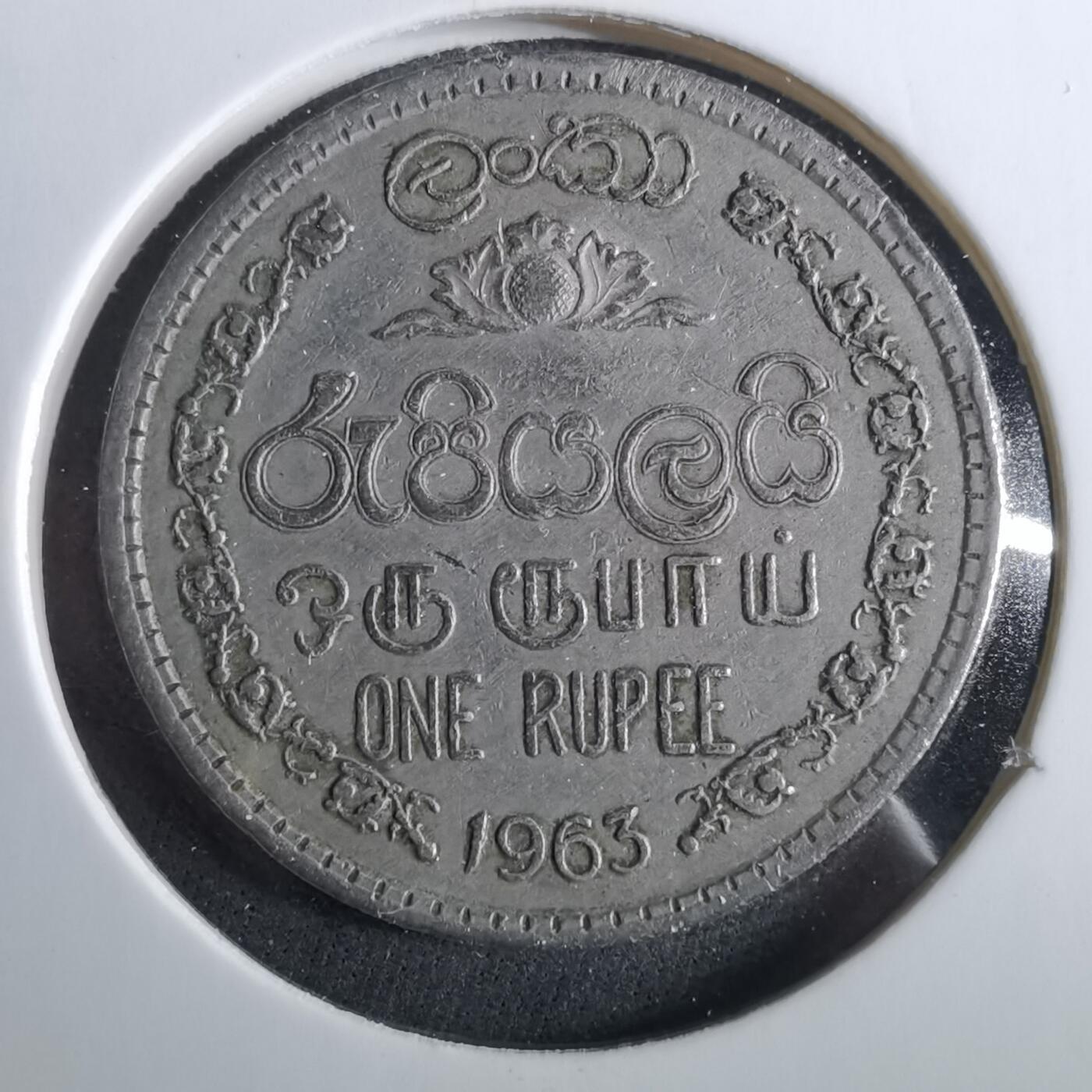 沼泽如烟--第960场