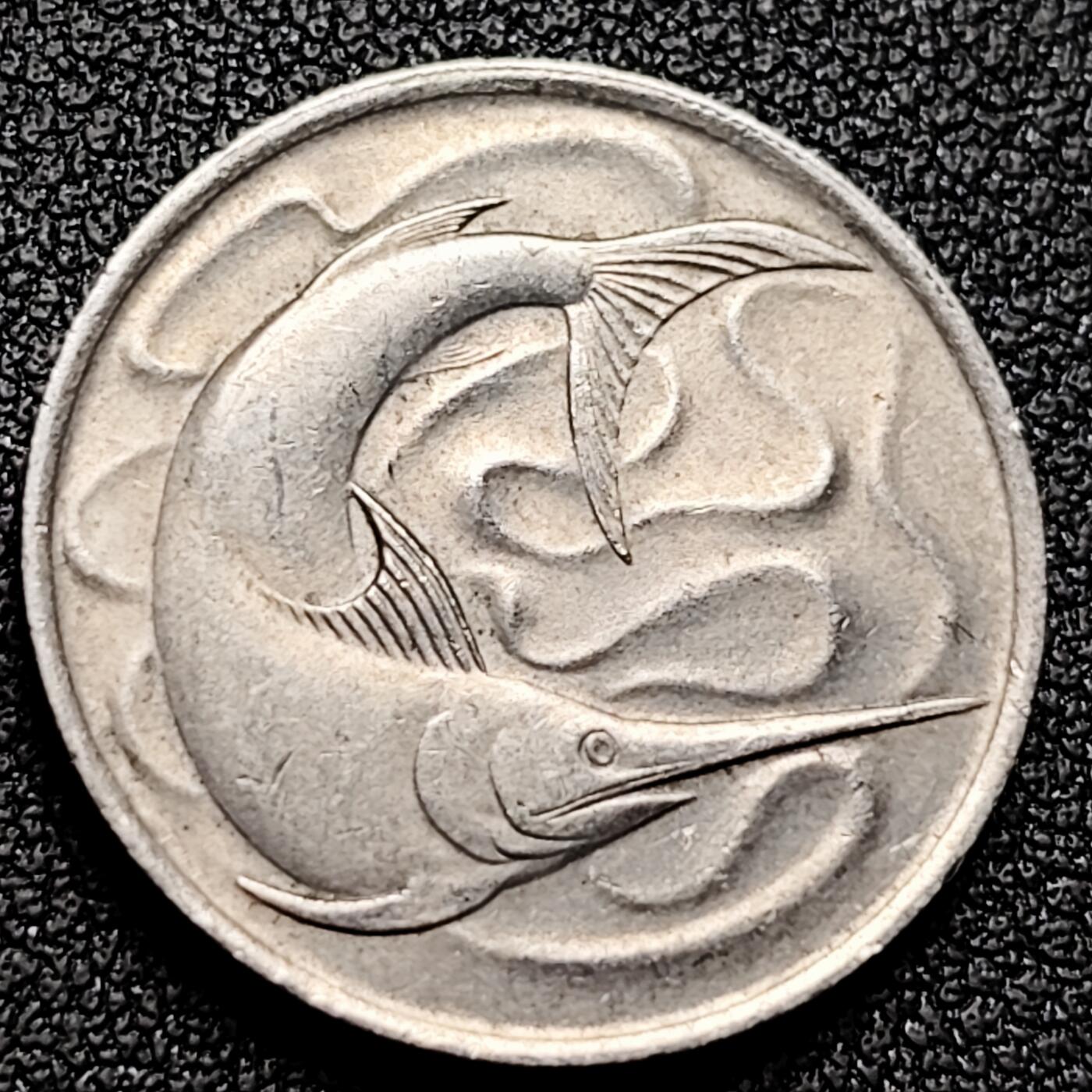 泉币菌-第169场- 精品福利场