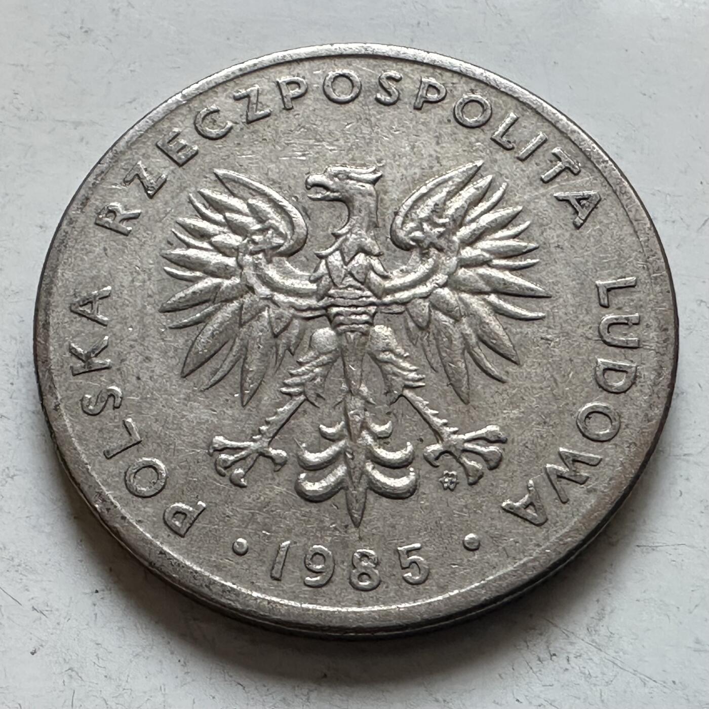 🌹外币初藏🌹🐯2026年第7场  每周二四六晚8️⃣点 接代拍