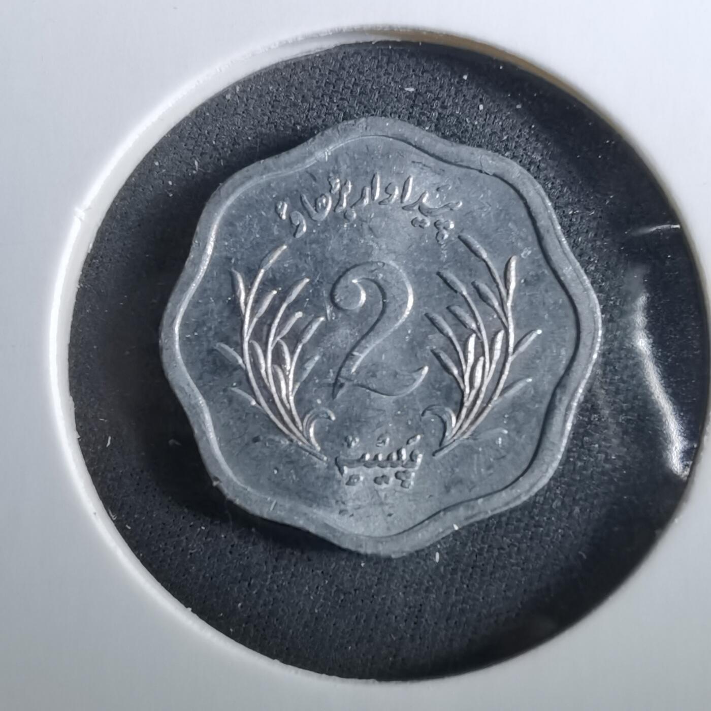 沼泽如烟--第960场