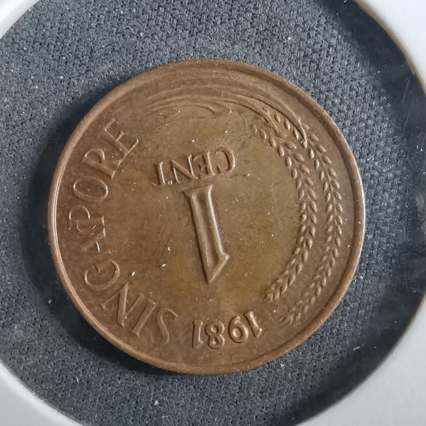 沼泽如烟--第960场