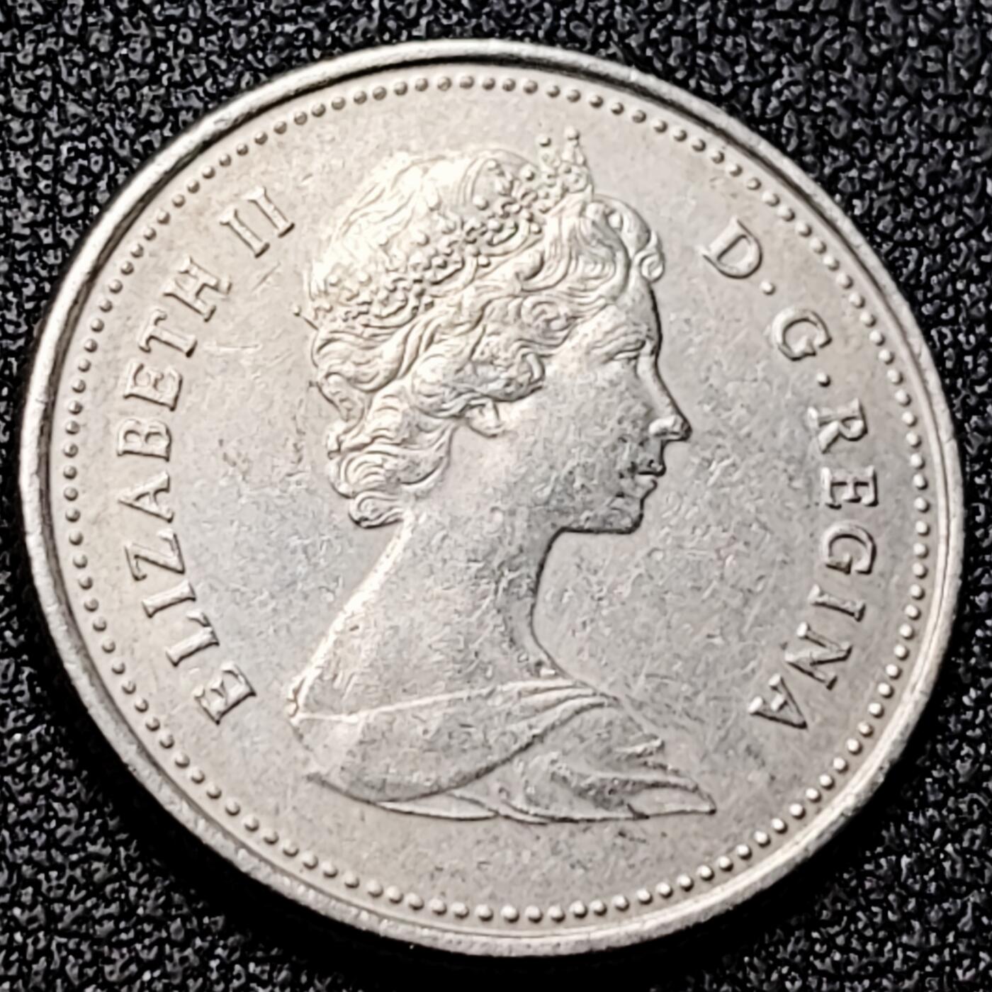 泉币菌-第170场- 精品福利场 。