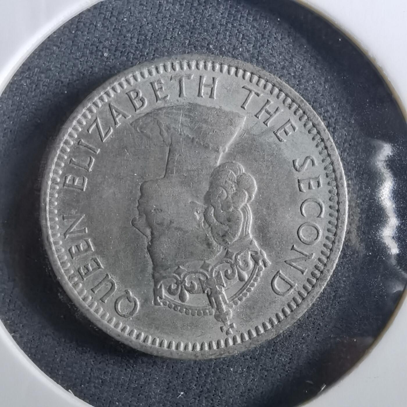 沼泽如烟--第960场