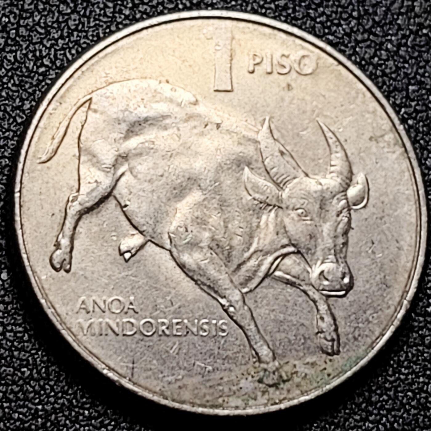 泉币菌-第170场- 精品福利场 。