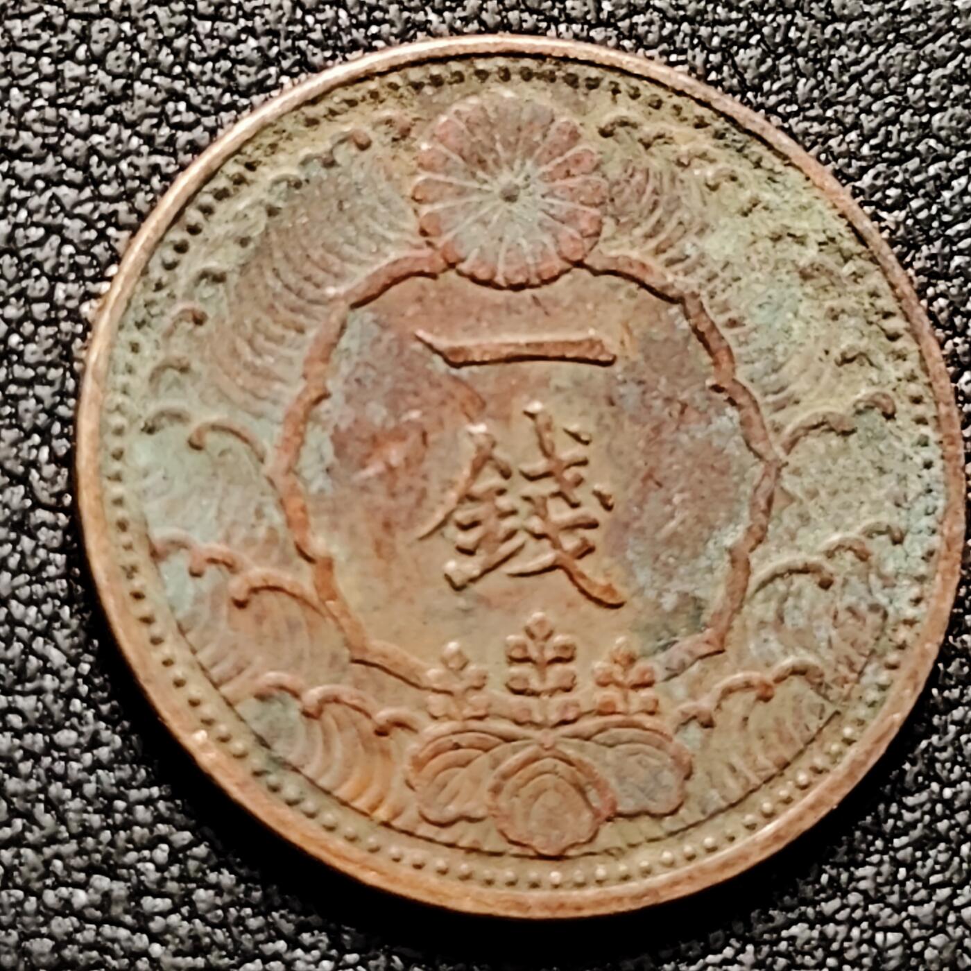 泉币菌-第169场- 精品福利场