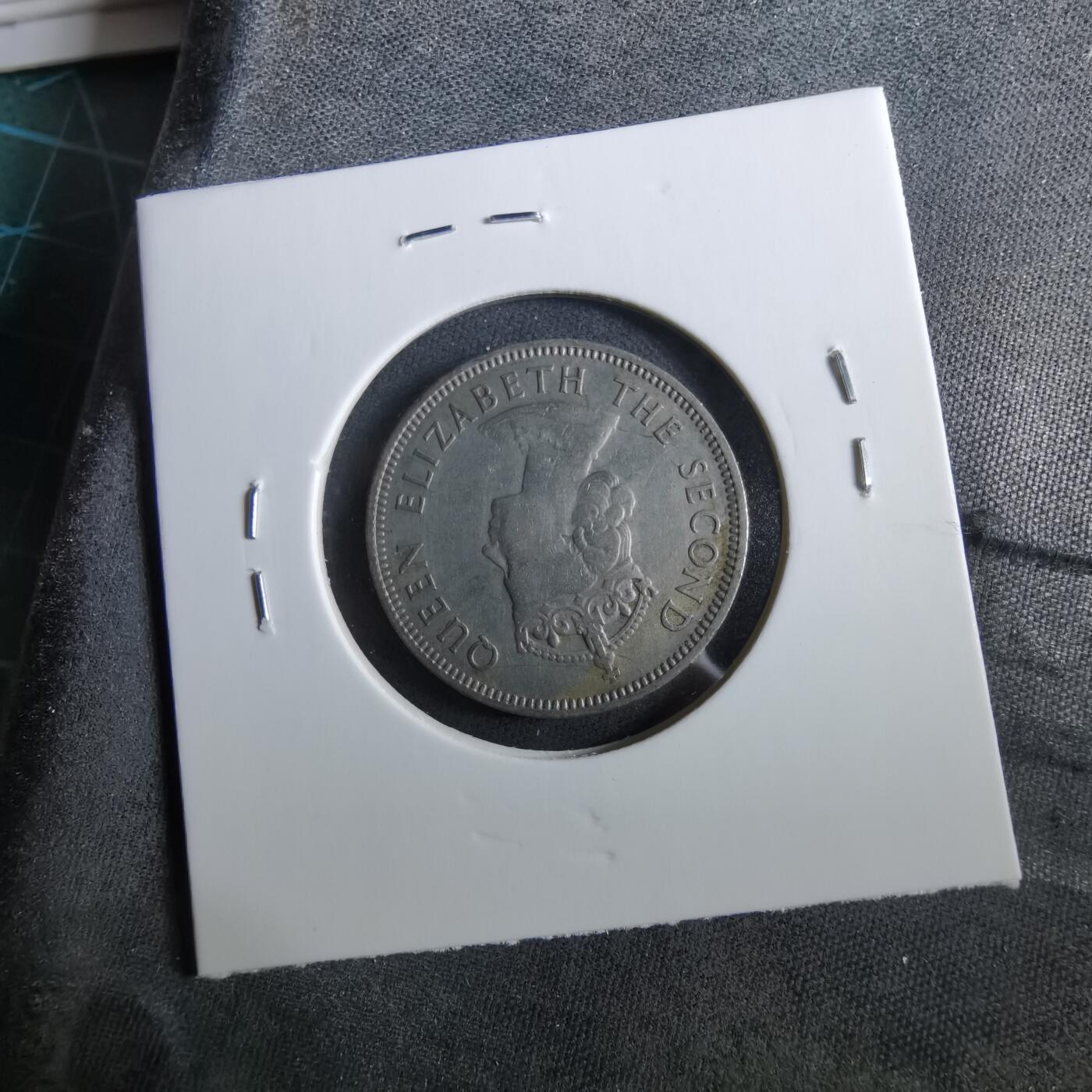 沼泽如烟--第960场