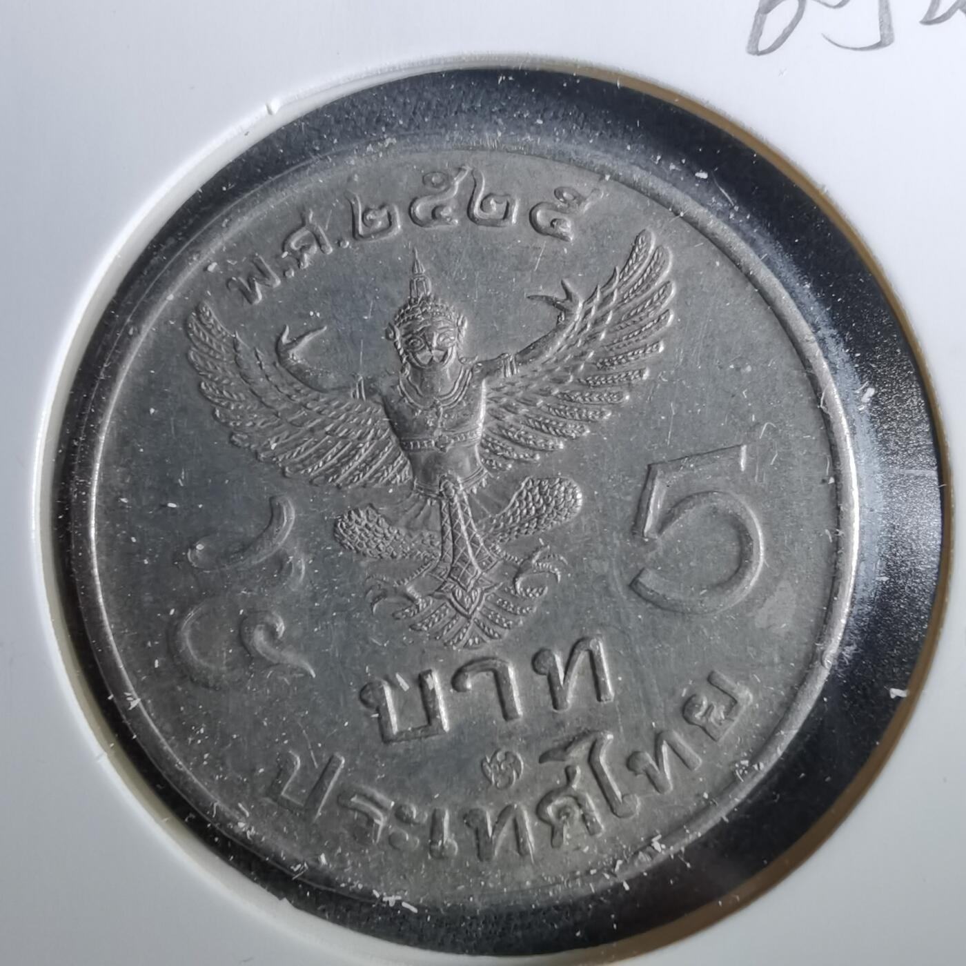 沼泽如烟--第960场