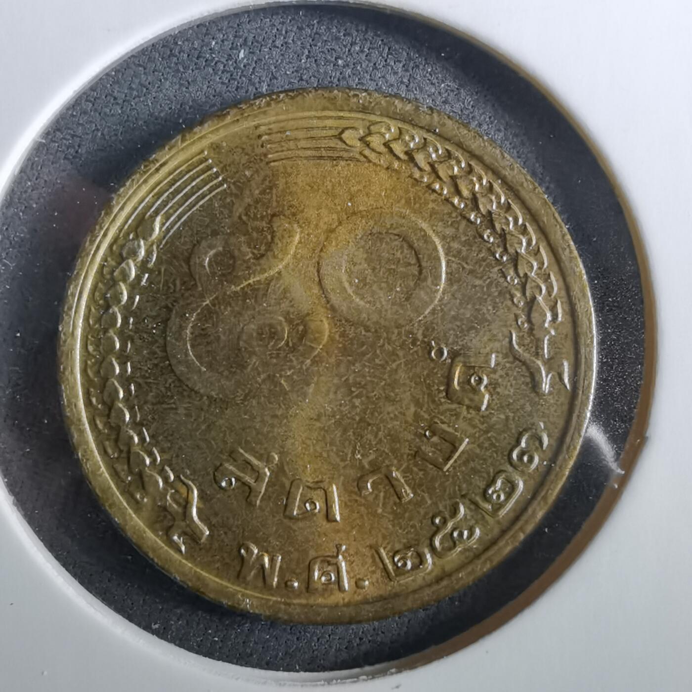 沼泽如烟--第960场 泰国