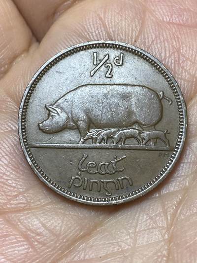 2026年第七场(总第一百七十六场）外国好品散币场(免佣金) - 爱尔兰🇮🇪1941年1/2便士(共和国时期第一套)