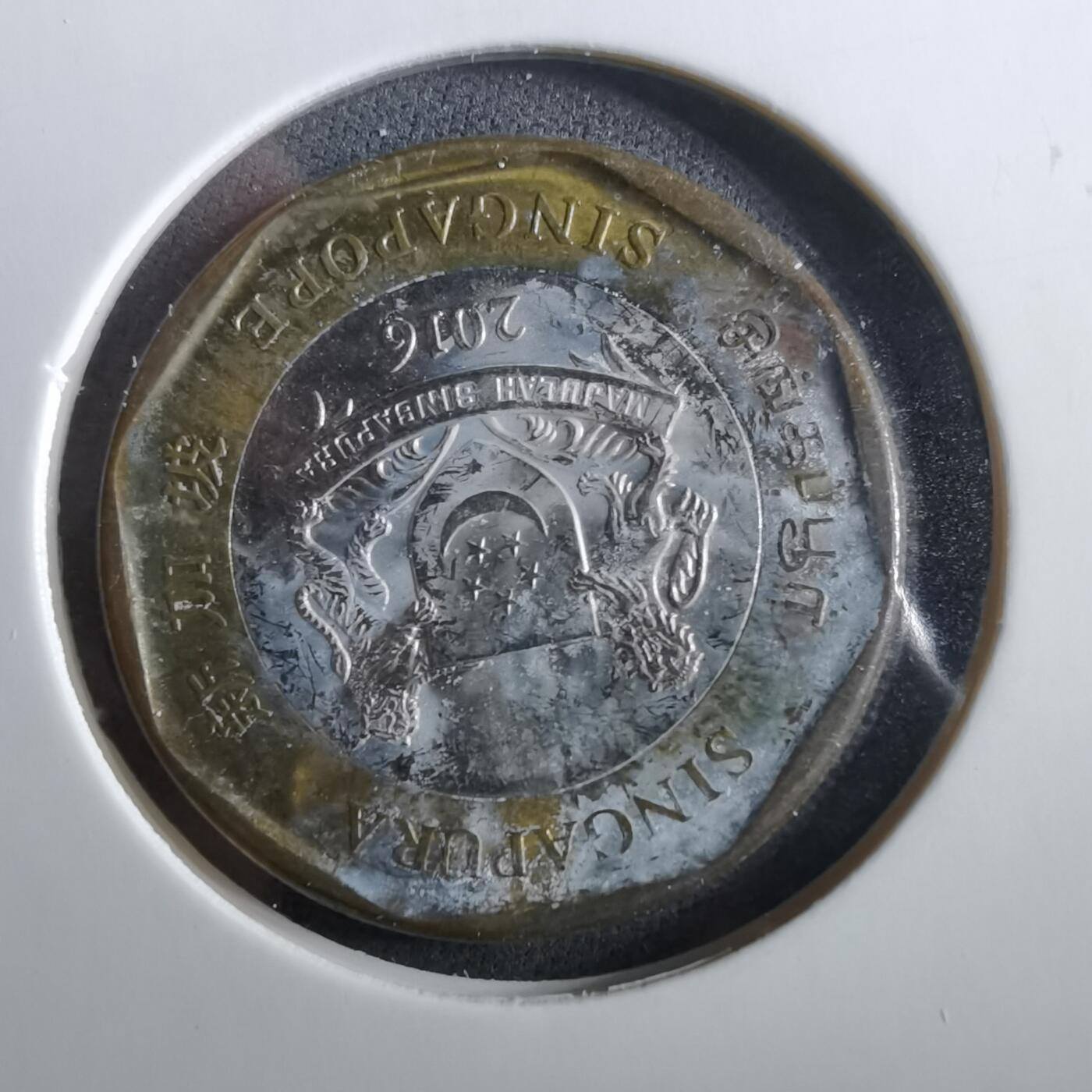 沼泽如烟--第960场