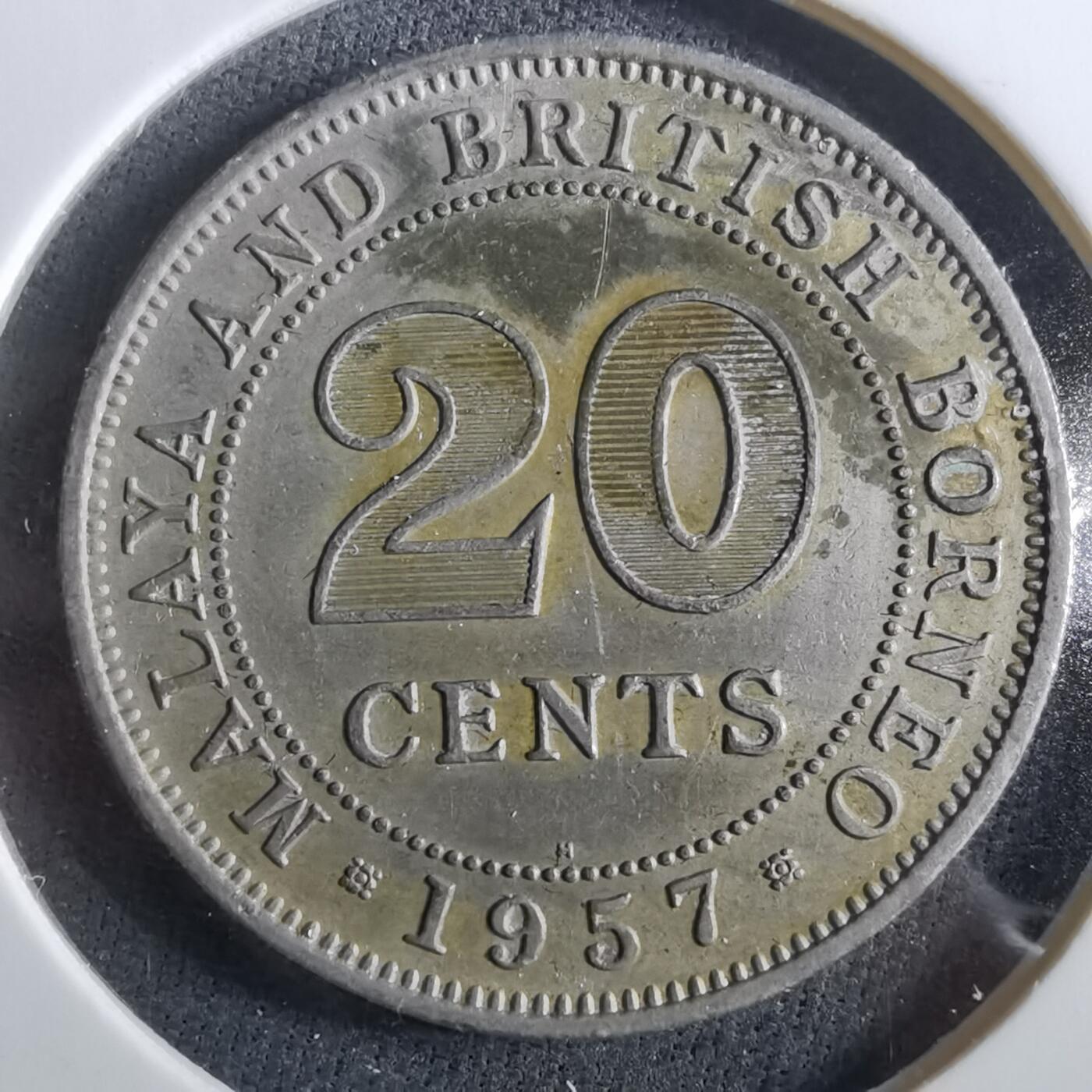 沼泽如烟--第960场