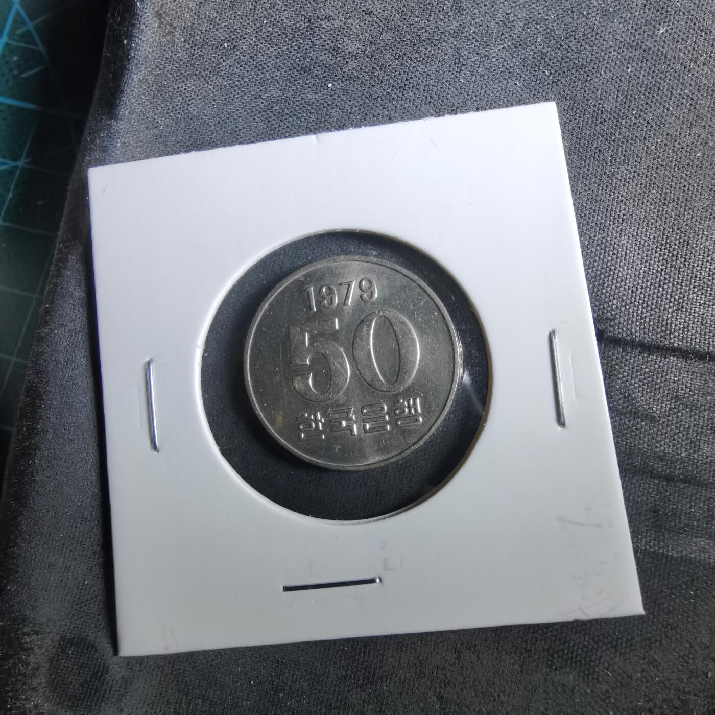 沼泽如烟--第960场