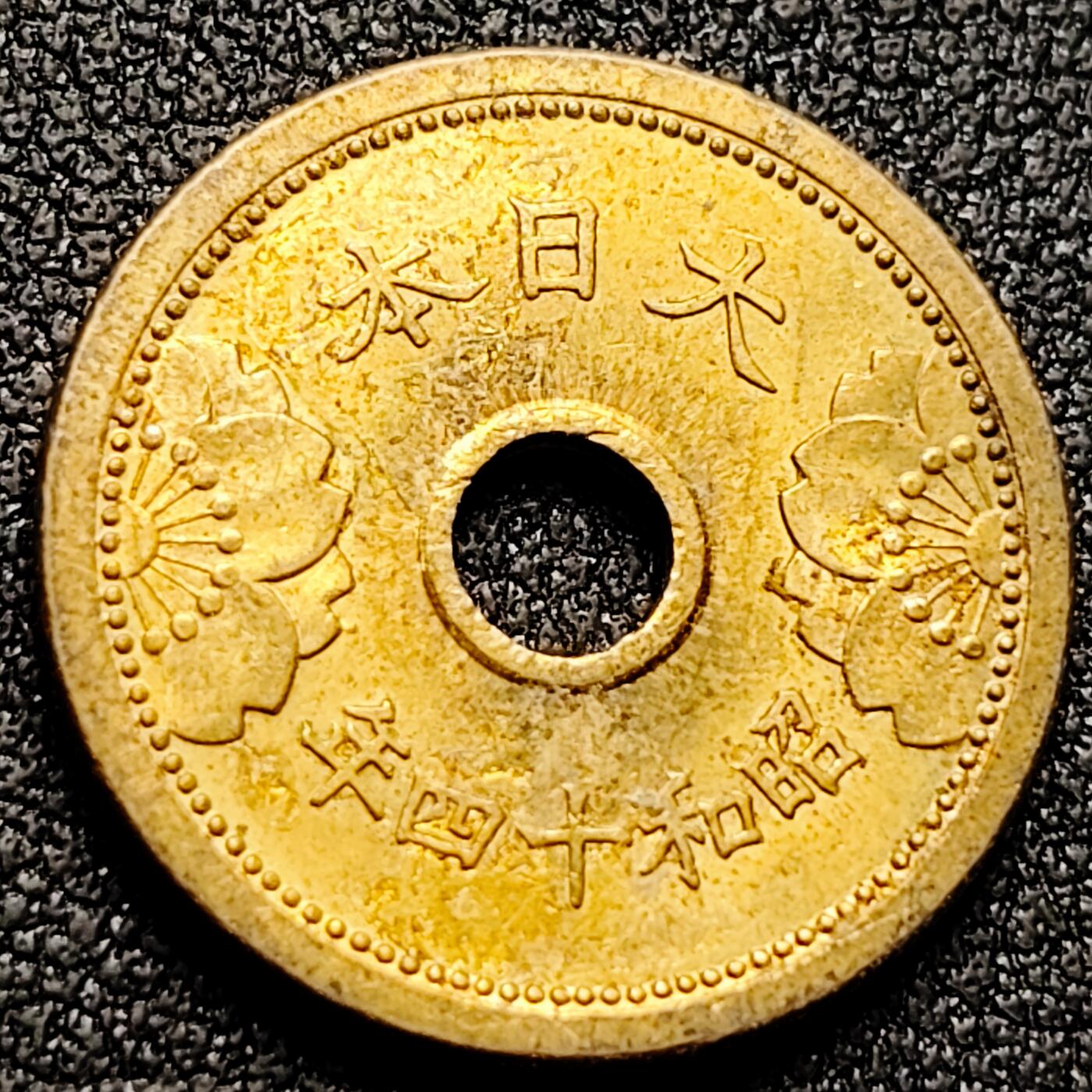 泉币菌-第170场- 精品福利场 。