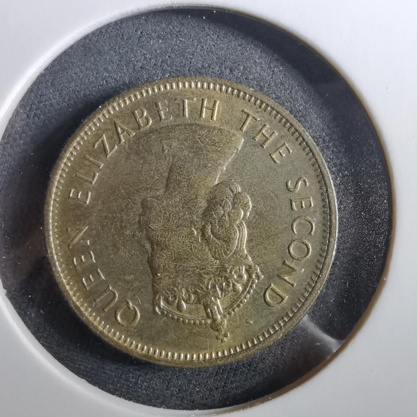 沼泽如烟--第960场