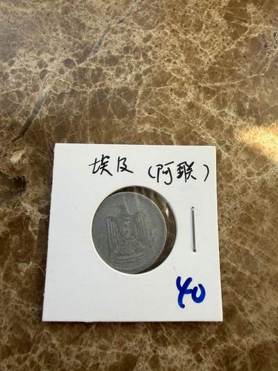 四海杂货铺第二十五场 - 埃及