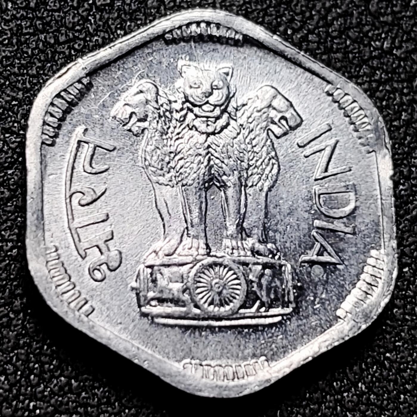 泉币菌-第170场- 精品福利场 。