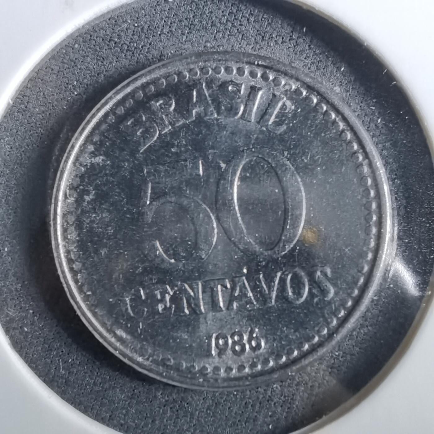 沼泽如烟--第960场