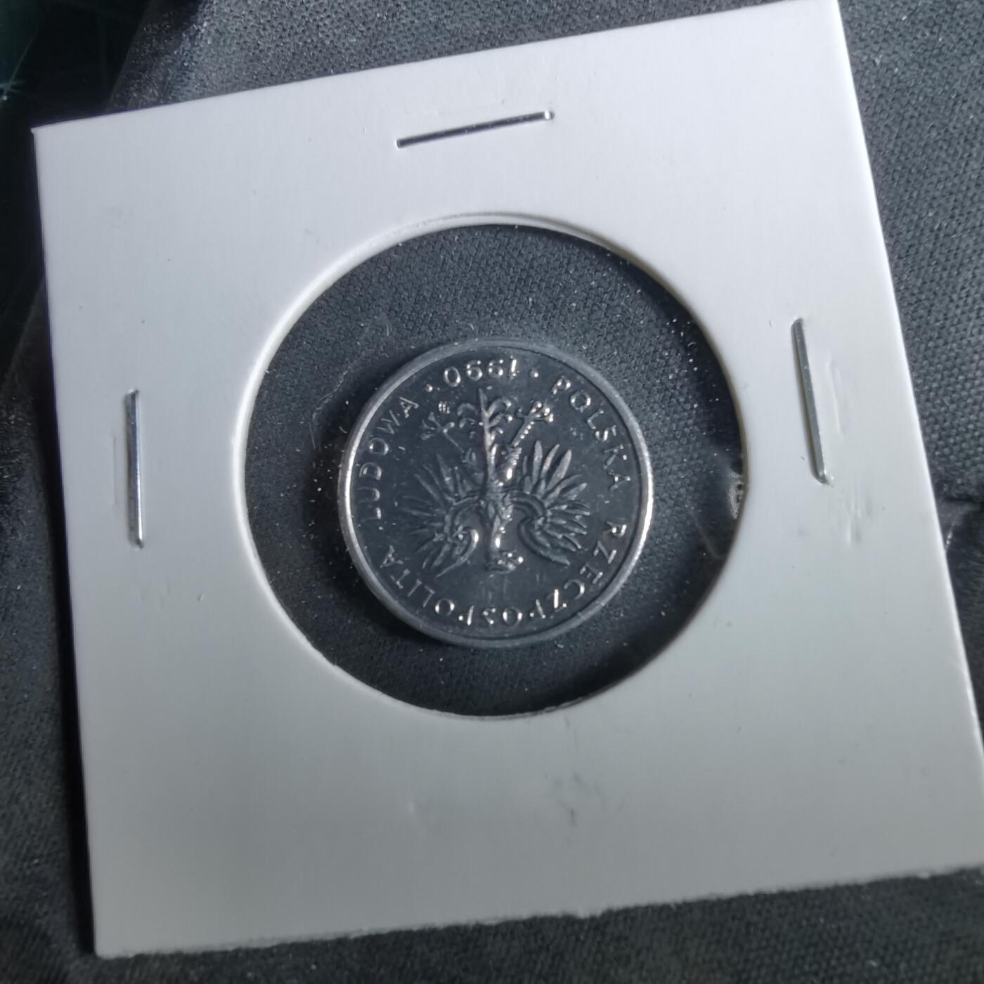 沼泽如烟--第960场