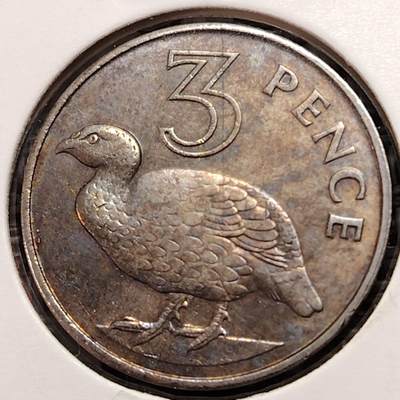 布加迪🐬～世界钱币(上海)🌾第 269 期 /  各国套币和散币 - 英属冈比亚🇬🇲 1966年 3便士