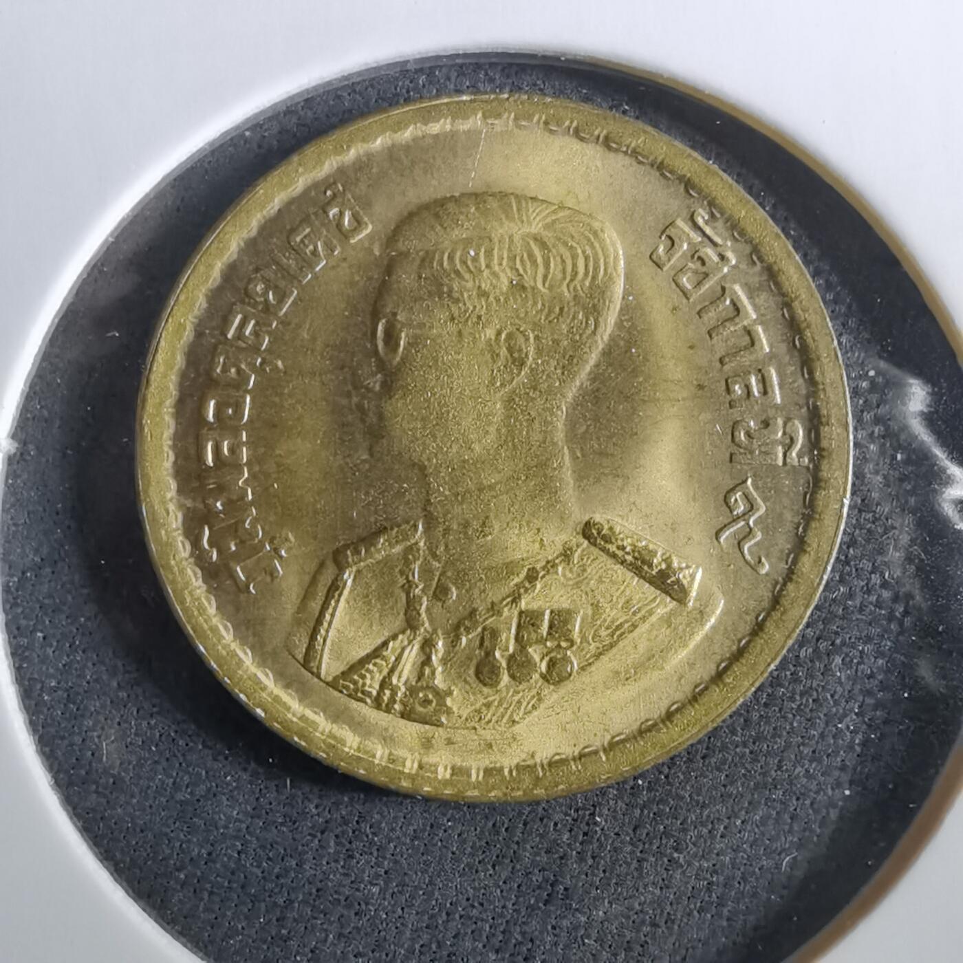 沼泽如烟--第960场