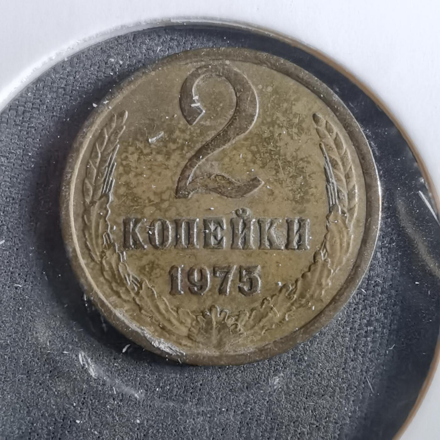 沼泽如烟--第960场