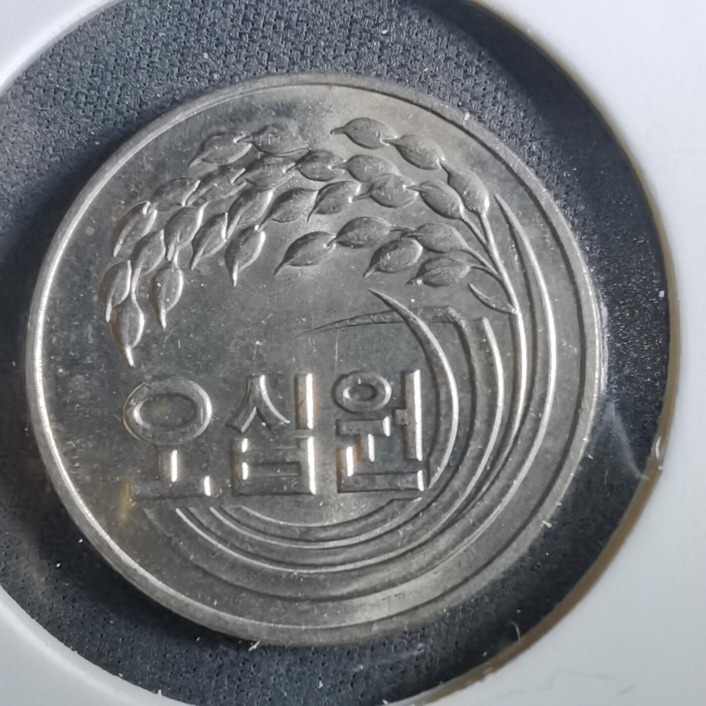 沼泽如烟--第960场