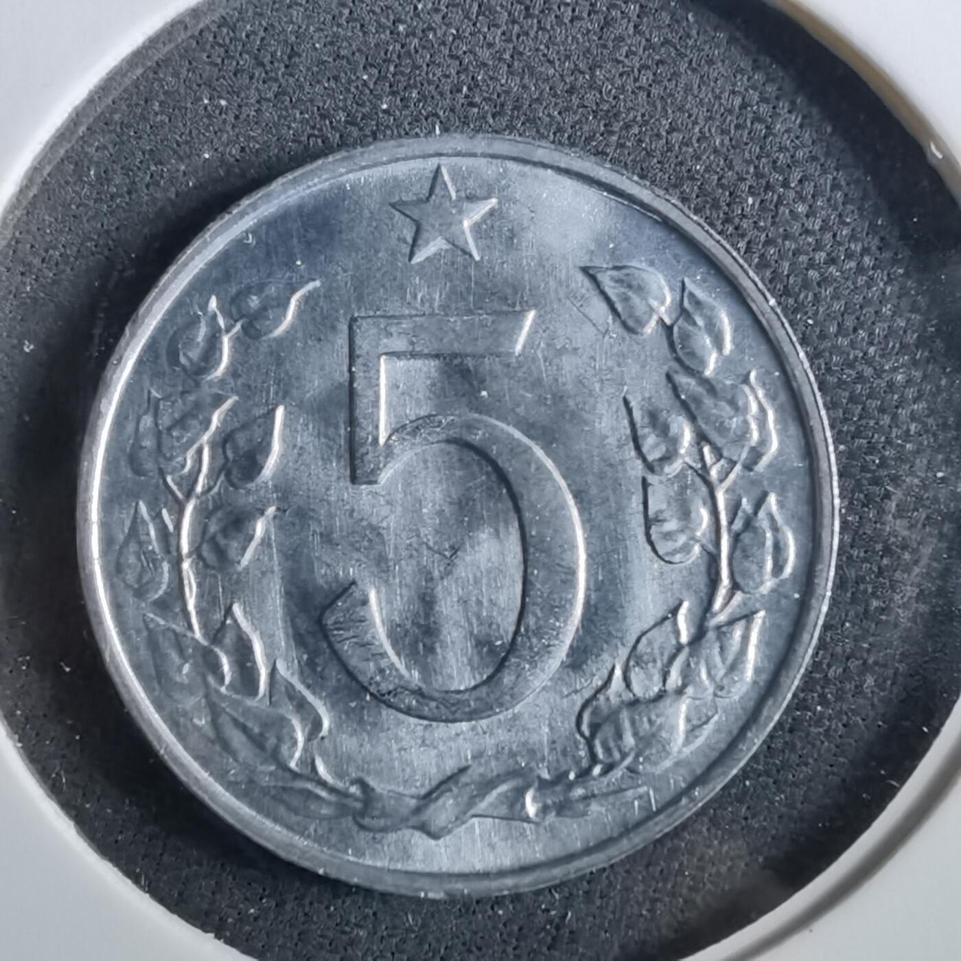 沼泽如烟--第960场