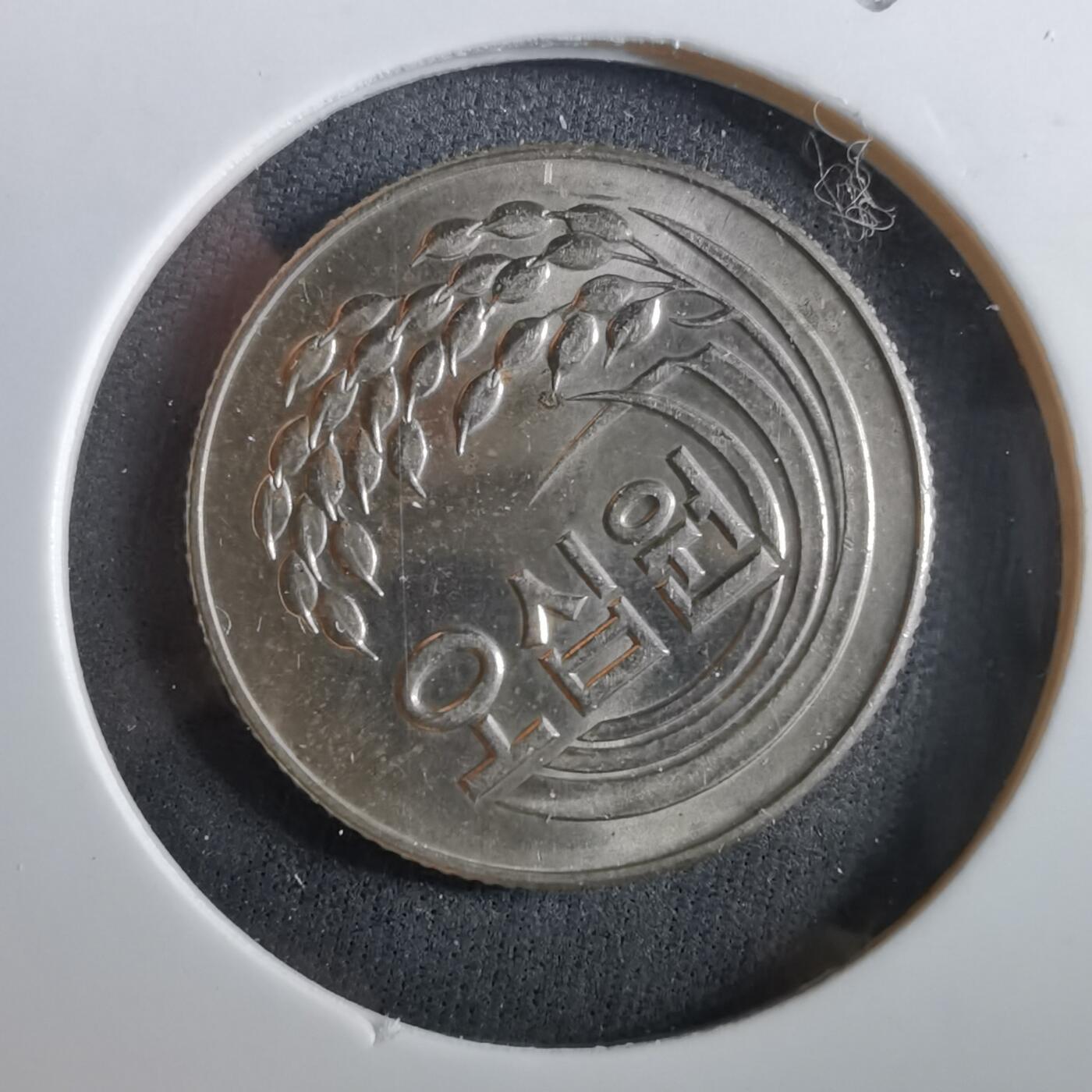 沼泽如烟--第960场