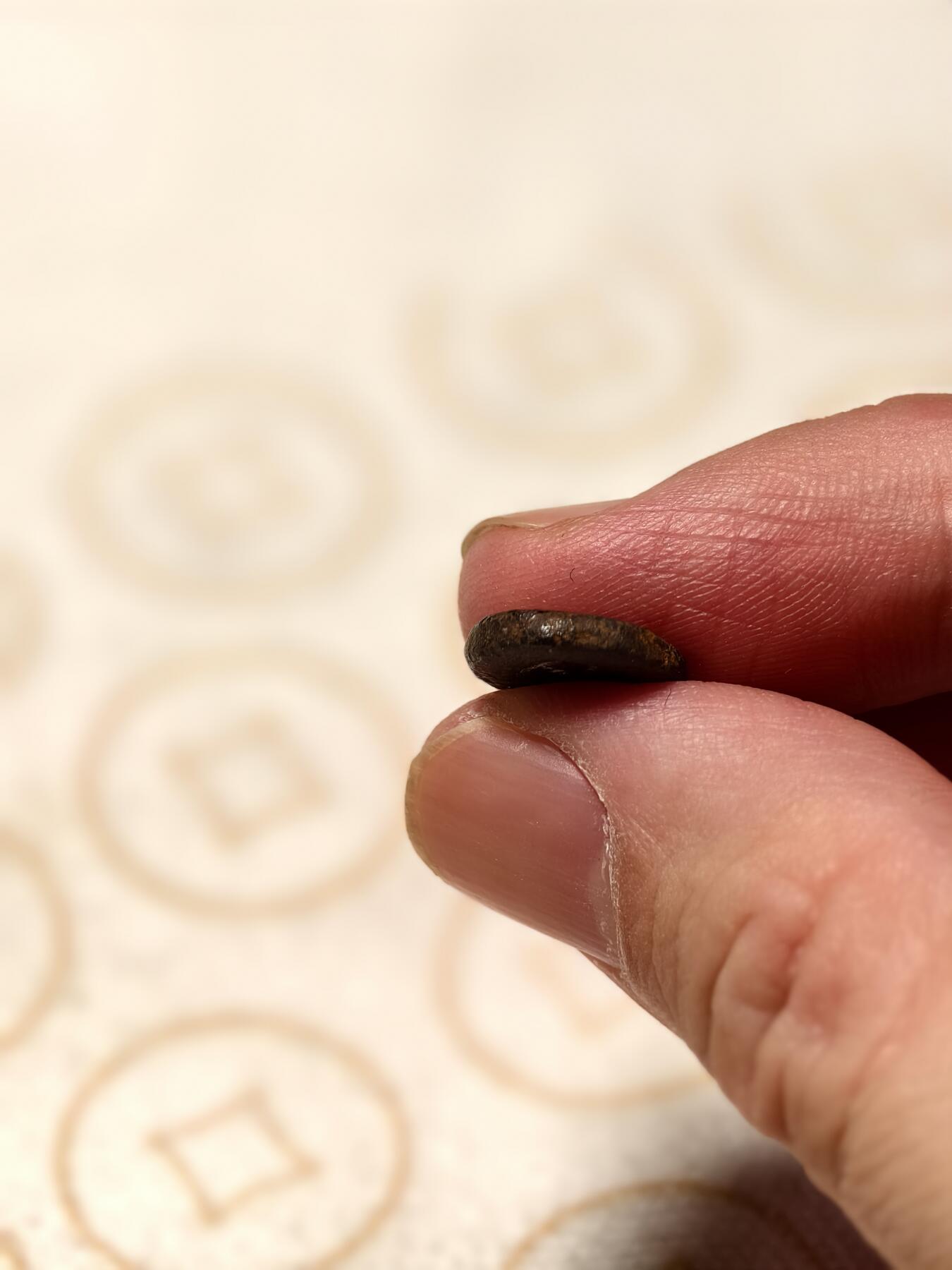 抚柳草堂-第八期章牌钱币 奖章勋章限时免佣 满百包邮 放漏专场 三佛齐王国末期至满者伯夷王国早期打制小银币 1.7g重正面有檀香花徽记，背面爪哇岛文，面值1 Unit或称Masa