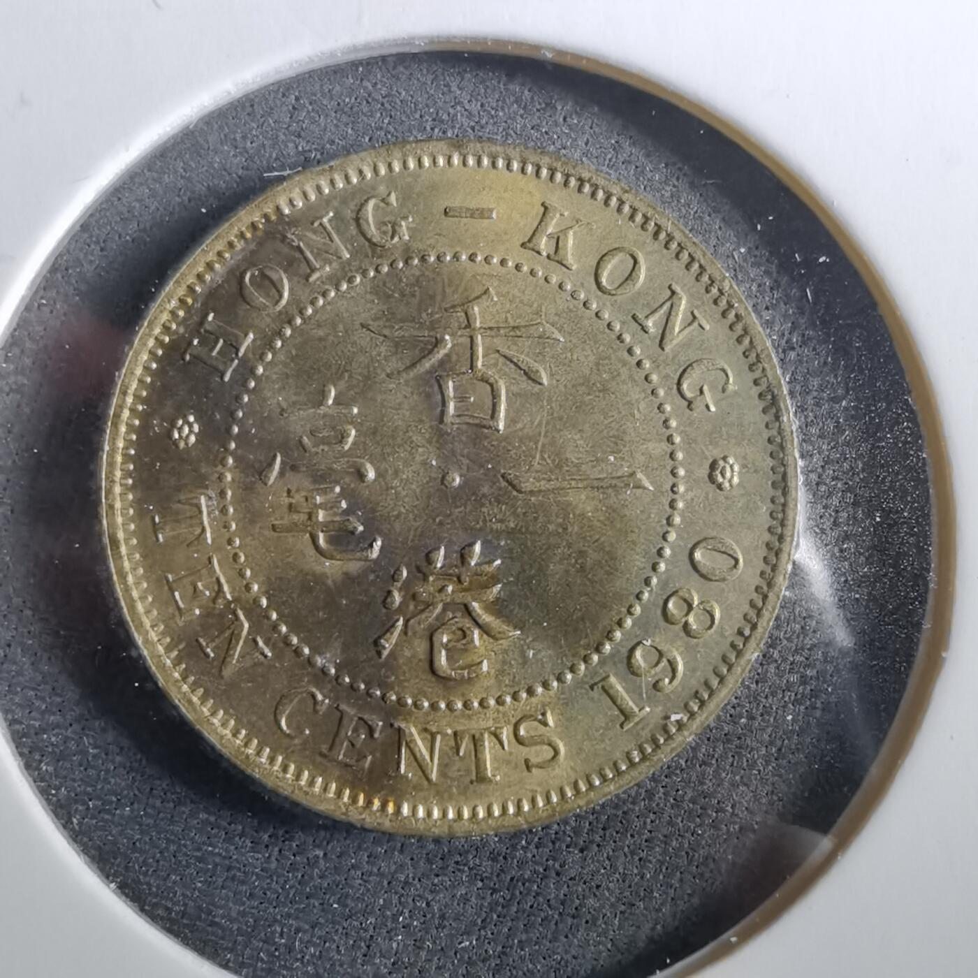 沼泽如烟--第960场