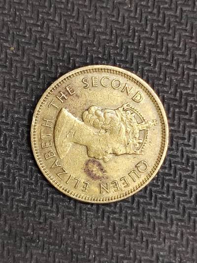 逸泉钱币2026C世界钱币纪念币专场第二组C1-400件 - 175香港一毫