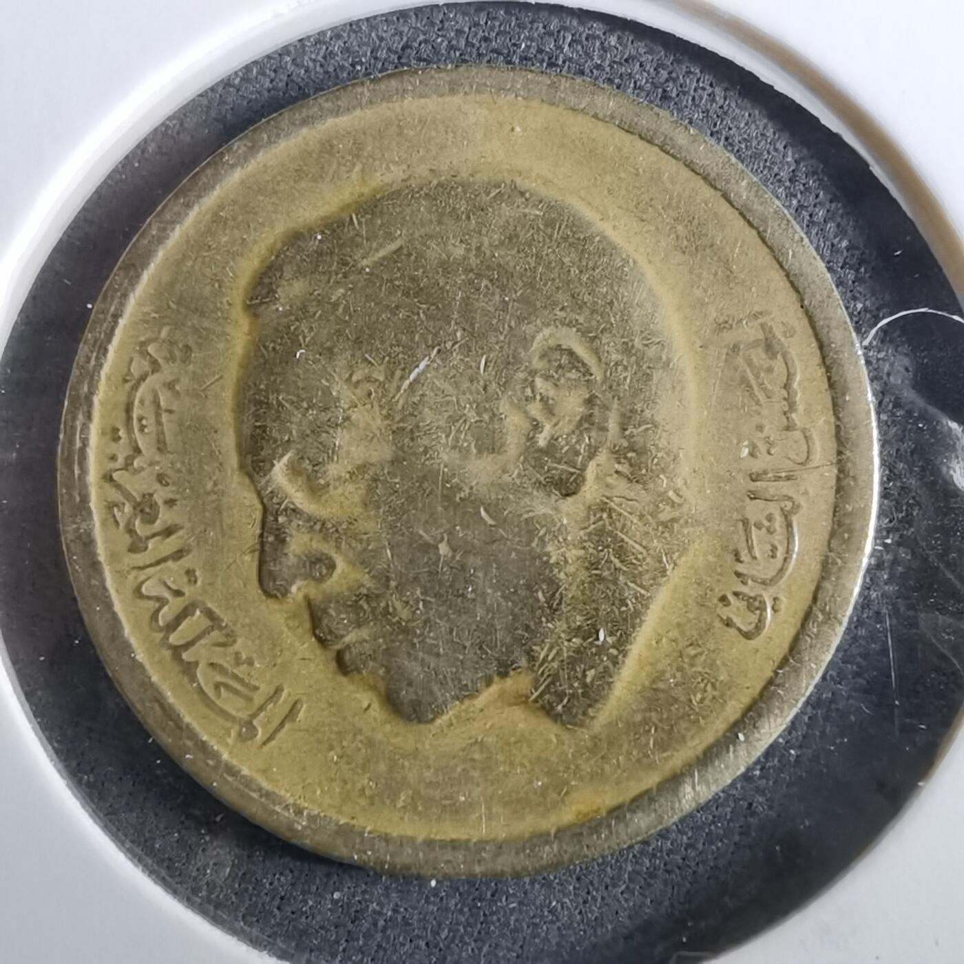 沼泽如烟--第960场