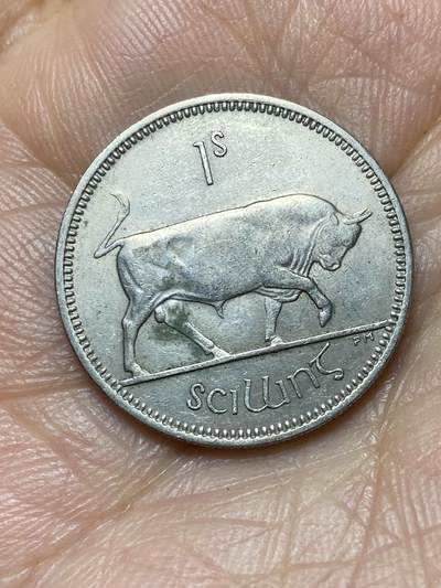 2026年第七场(总第一百七十六场）外国好品散币场(免佣金) - 爱尔兰🇮🇪1964年1先令(共和国时期第一套第二版)