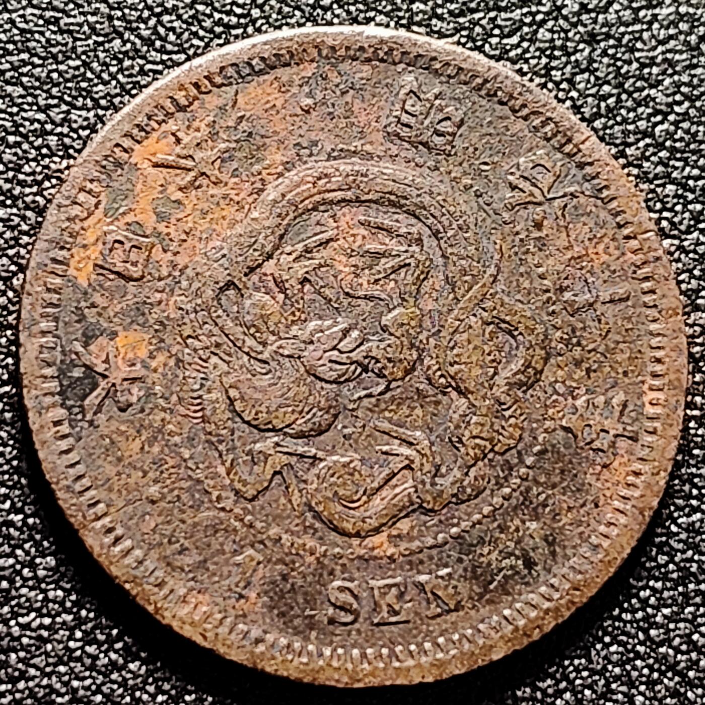 泉币菌-第169场- 精品福利场