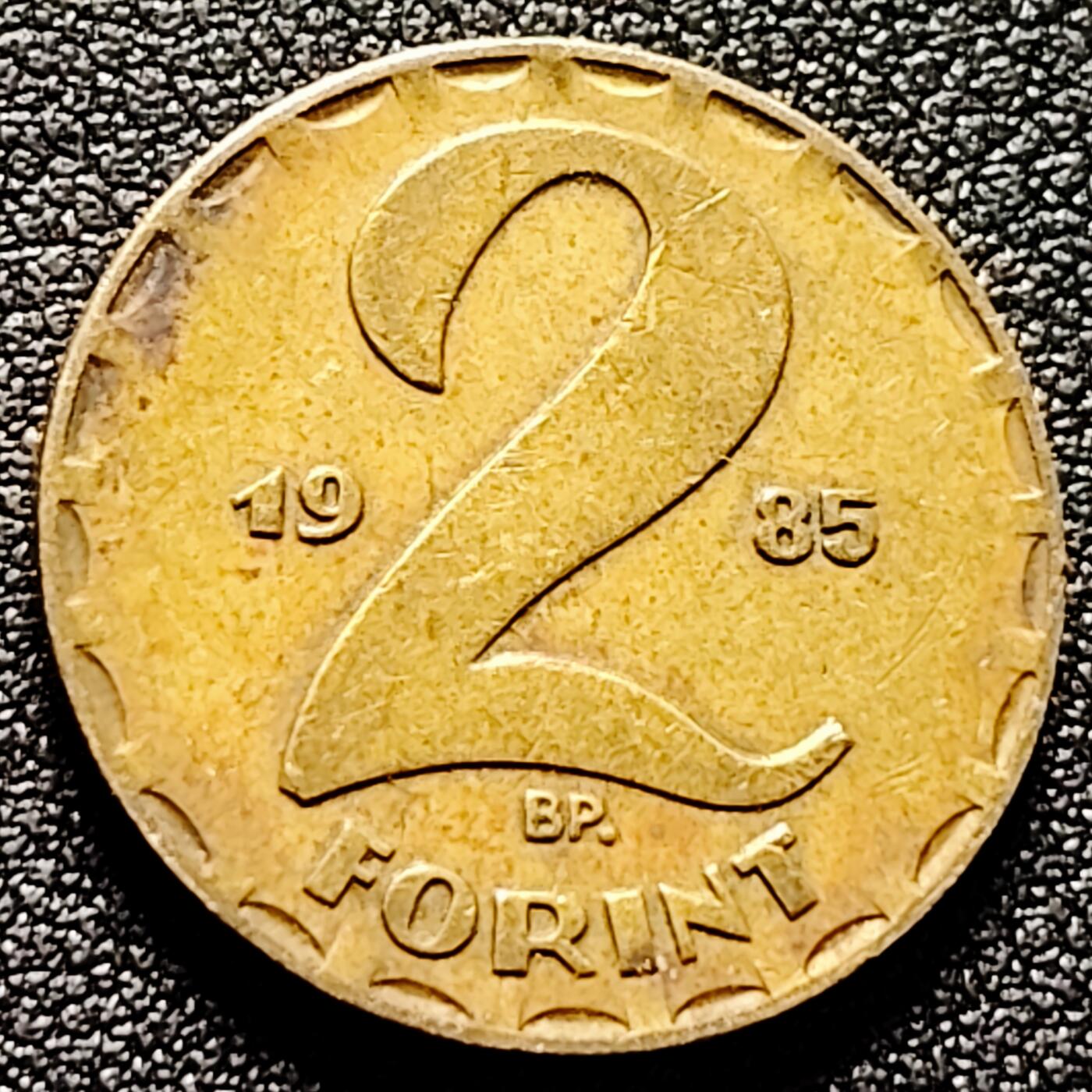 泉币菌-第170场- 精品福利场 。