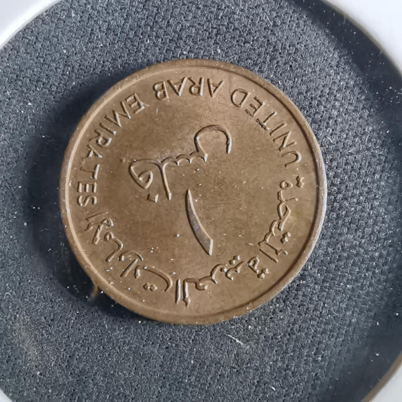 沼泽如烟--第960场