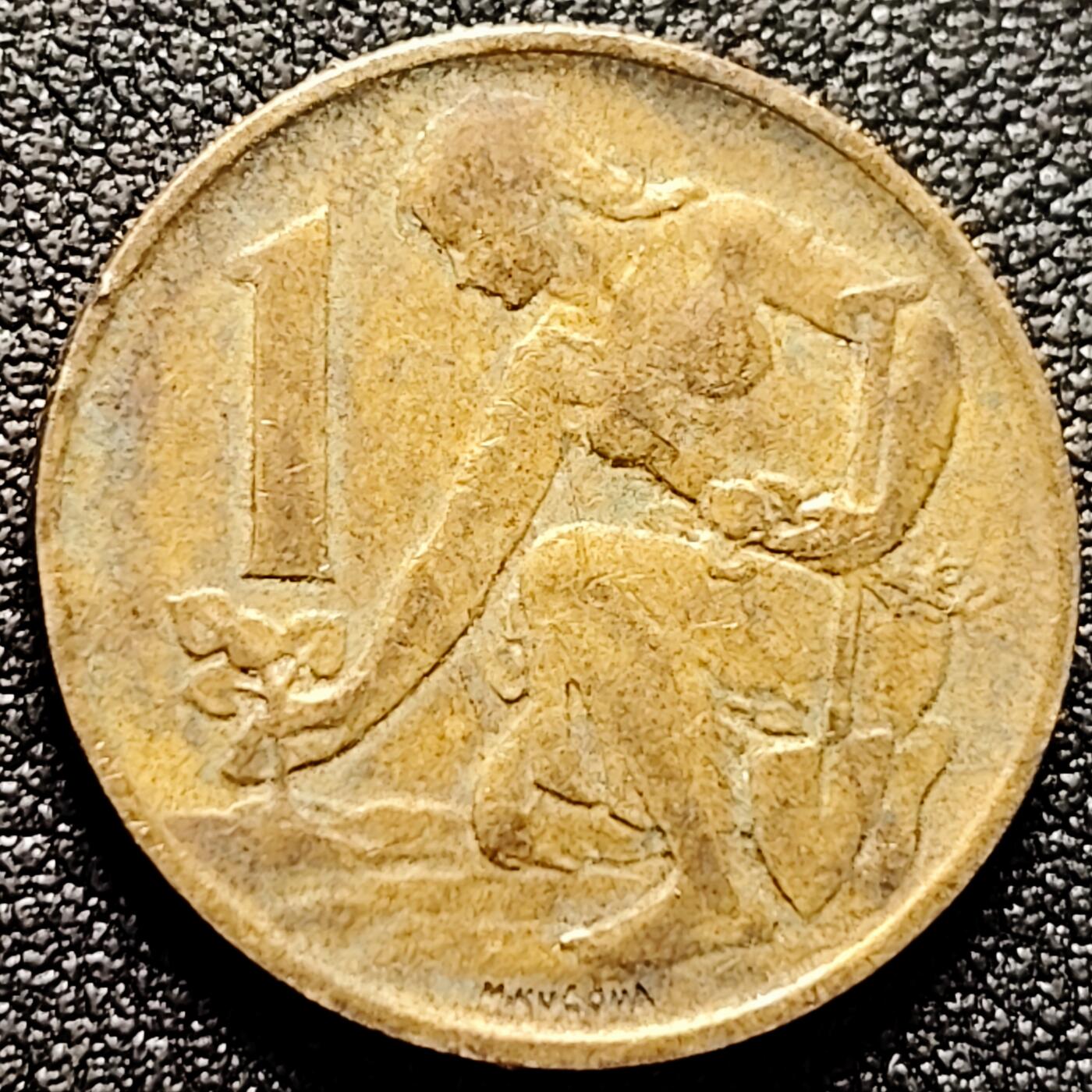 泉币菌-第170场- 精品福利场 。