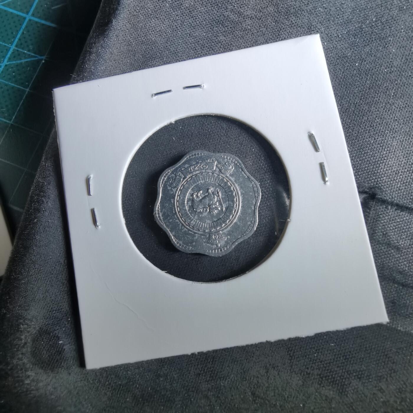 沼泽如烟--第960场