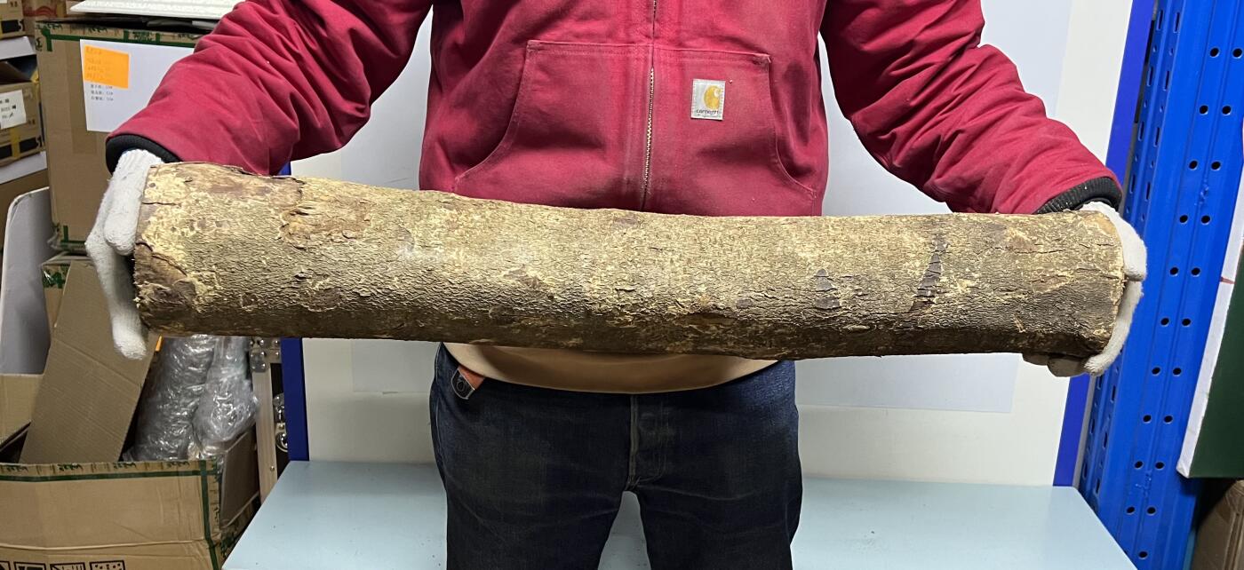 零元拍： 01-09-5金丝楠 原木 风水柱 横财（材）带皮， 尺寸：81/11.5/13CM。7.8公斤，抛光后金灿灿满香