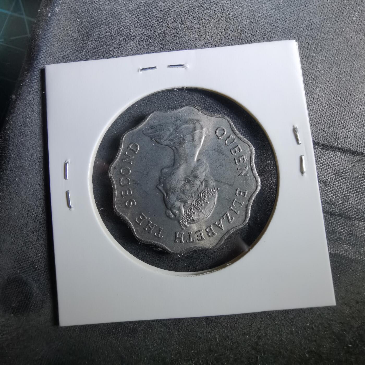 沼泽如烟--第960场