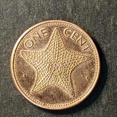 逸泉钱币2026A世界散币纸币纪念币专场A第一场 - 262 巴哈马1分精致币海星