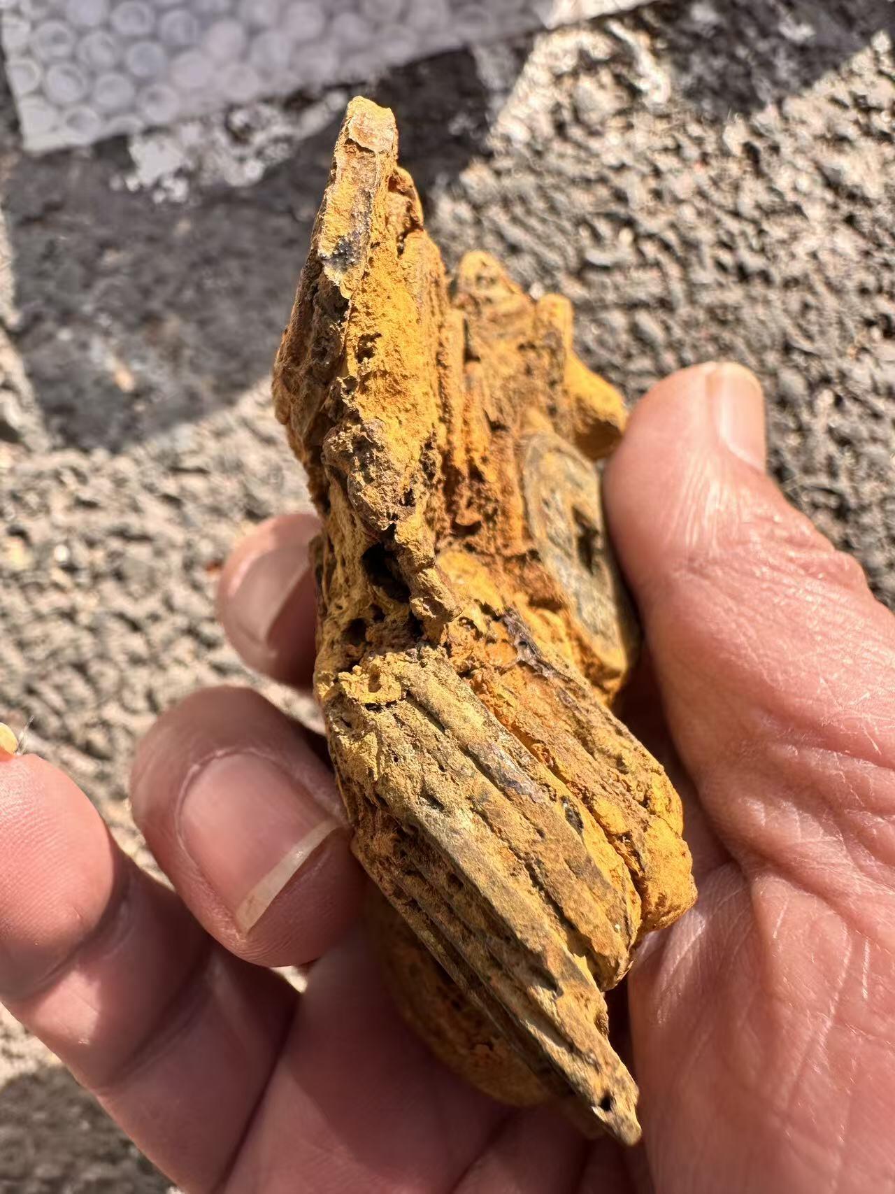 开元面金黄色坨子钱山约六七十枚摆件佳品