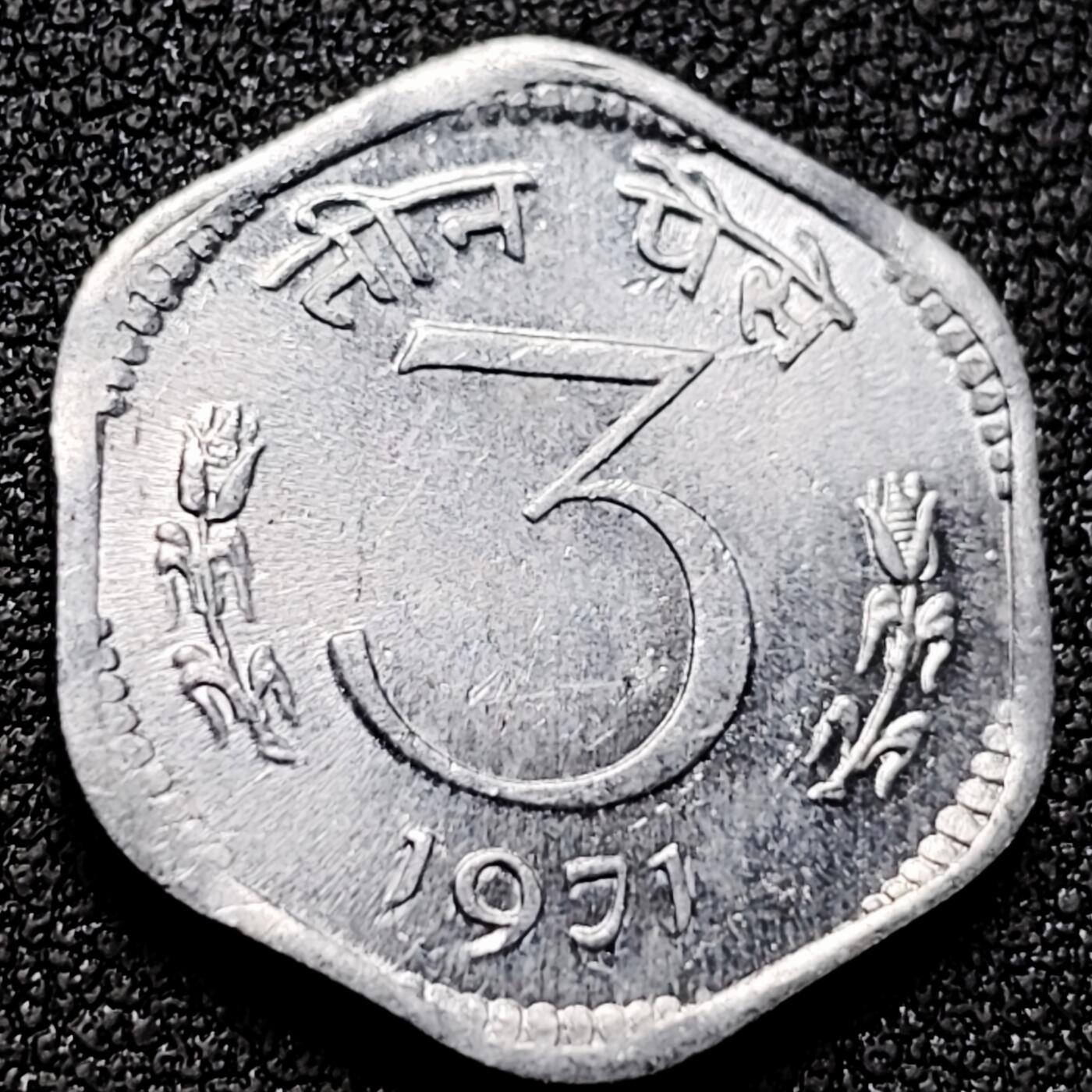 泉币菌-第170场- 精品福利场 。